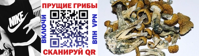 Галлюциногенные грибы мухоморы  Вилюйск 